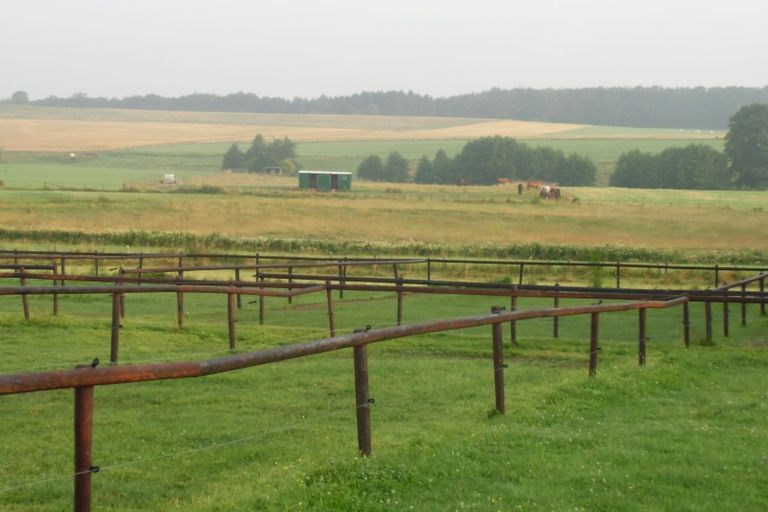 Paddocks & Weiden Wanderreitstation Eifel Leudersdorf