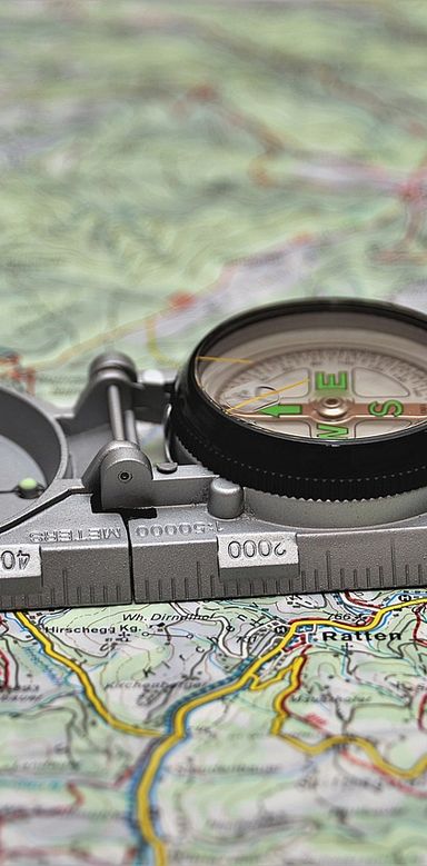 Kurs Pferde gesund bewegen