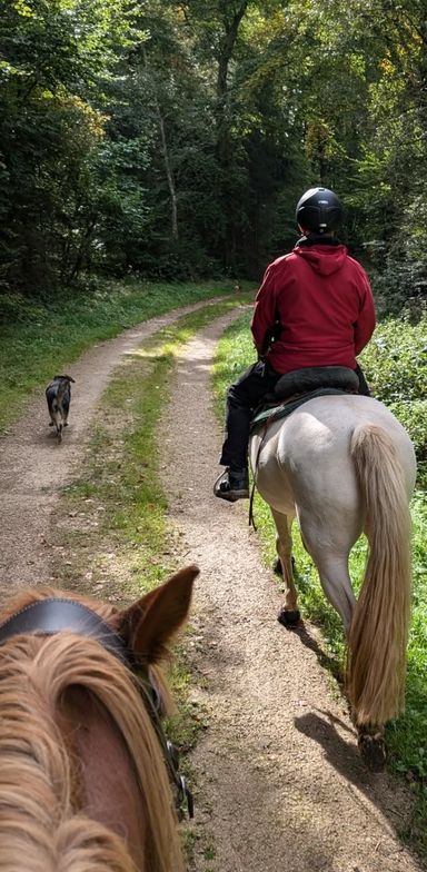 Reiterrallye Leudersdorf