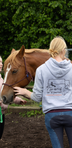 Reiterrallye Leudersdorf