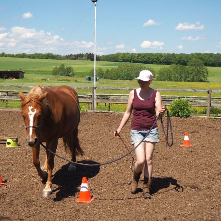 Problempferdetraining Beritt Eifel Leudersdorf