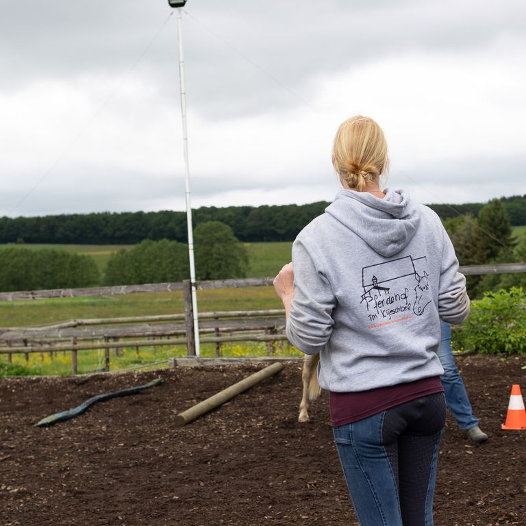 Reitunterricht Pferdetraining Eifel Leudersdorf