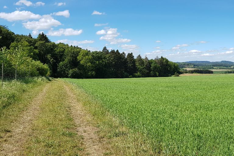 Gelände Wanderreitstation Eifel Leudersdorf