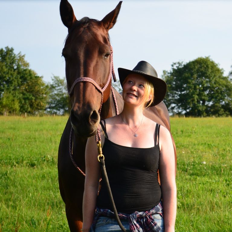 Natural Horsemanship Training Eifel Leudersdorf